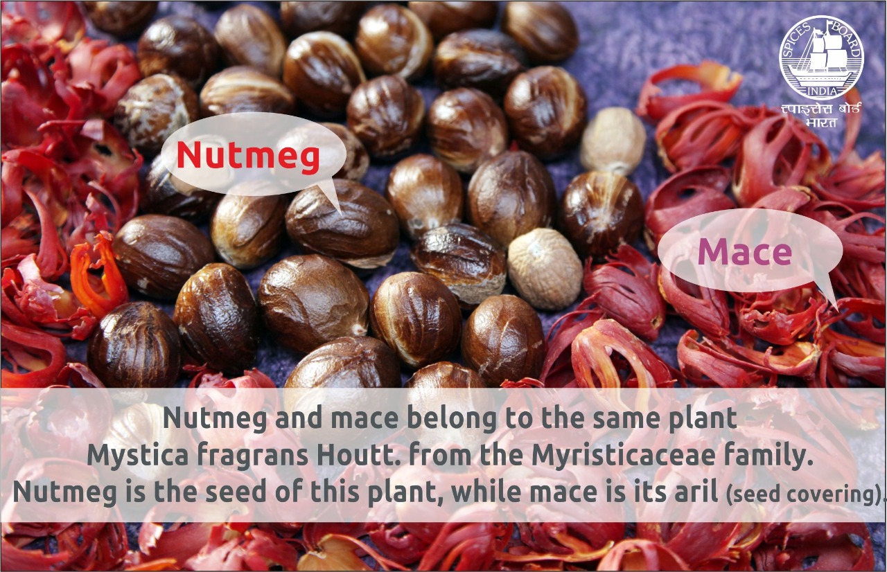 major exporter of nutmeg