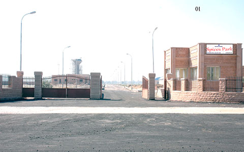 Spice Park - Jodhpur, Rajasthan