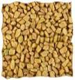 Fenugreek image